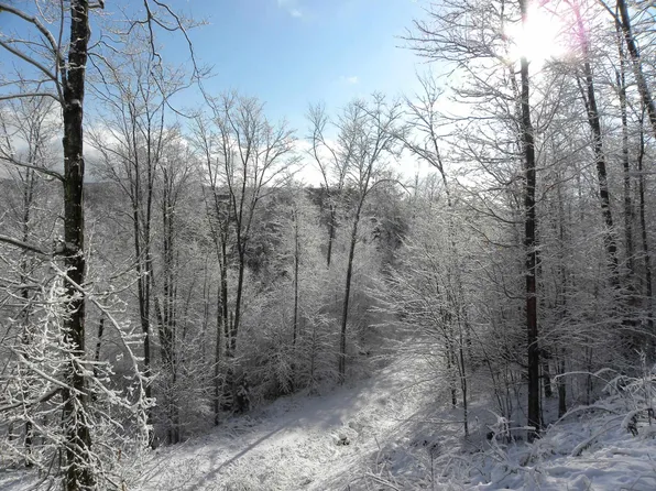 0 Sumner Road Lot 7, Ludlow, VT 05149
