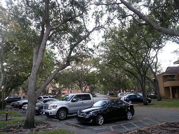 3rd image of 15579 Miami Lakeway N APT 101