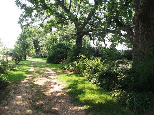 3rd image of 10995 Albert Turner Sr Mem Hwy