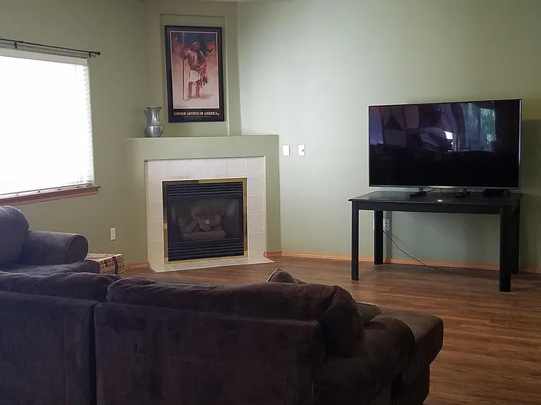 Family room TV and fireplace