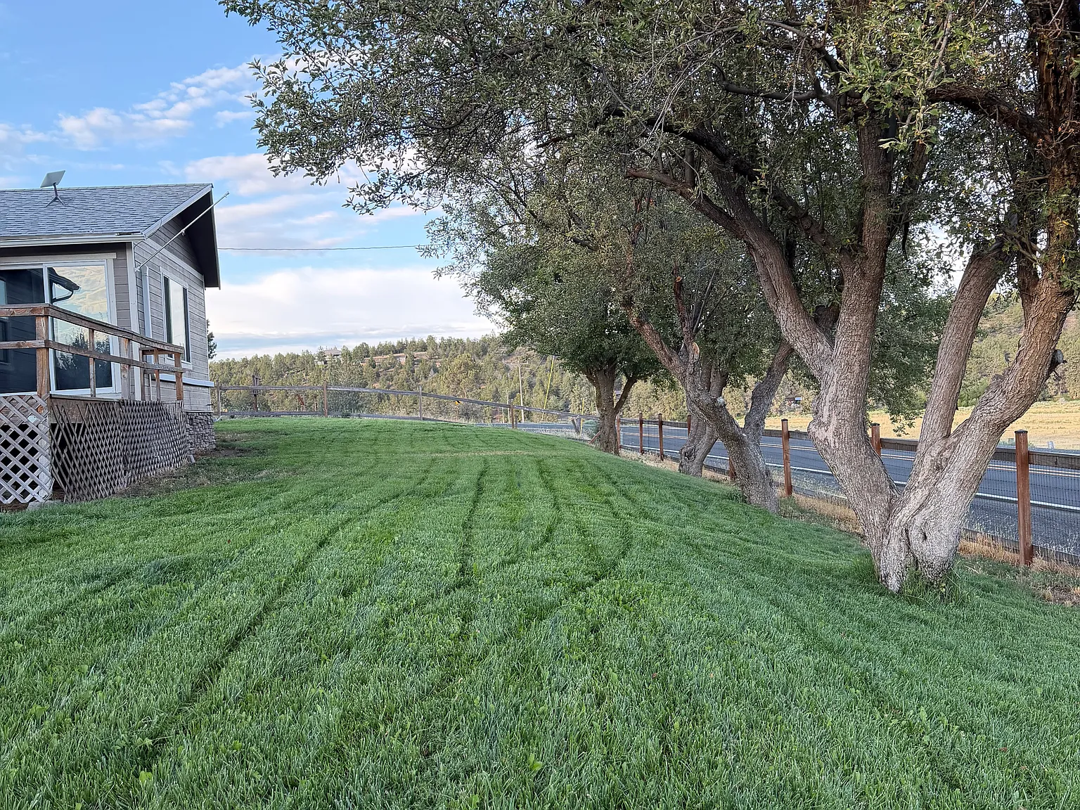 3 bed, 1300 sqft, $1,800 — Photo 3