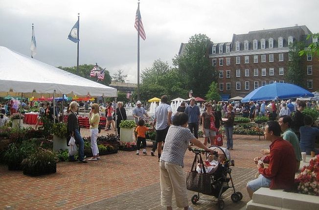 Farmer's Market Old Town