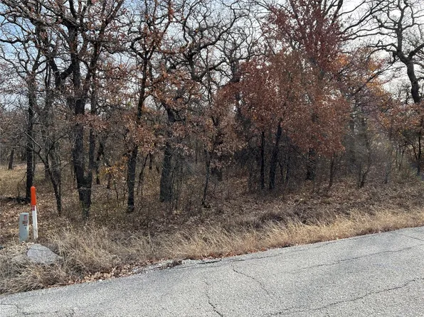 0 Johnston Ln, Bridgeport, TX 76426