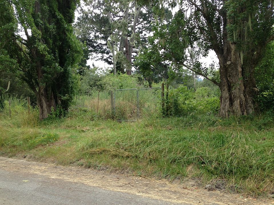 Conifer Drive access to lots