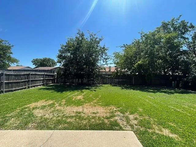 Picture 25