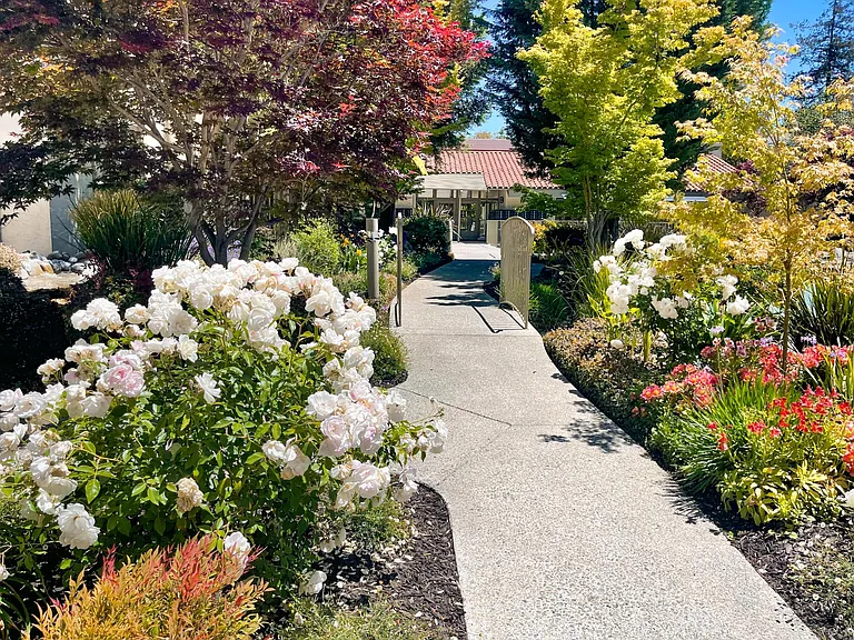 Spring Creek Apartments — Photo 4