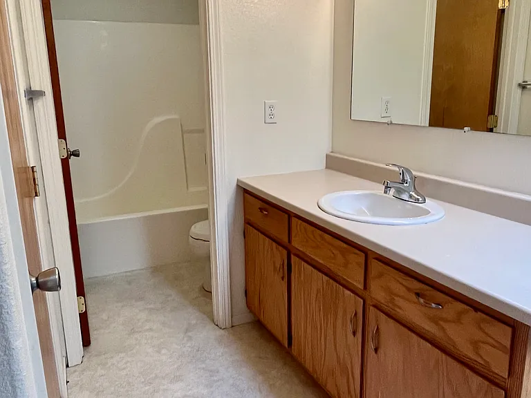 Janes Creek Dr — Photo 9