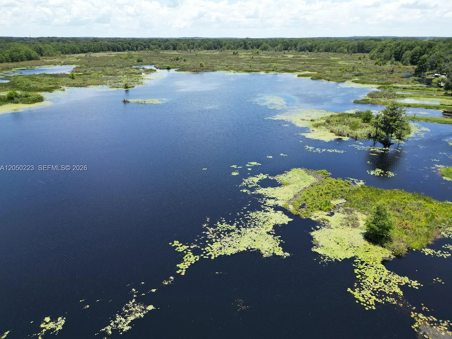Lake Shore — Photo 3