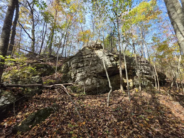 9 Myers Town Rd, Beersheba Springs, TN 37305