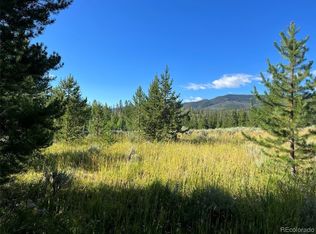 20410 Silver Bit Trl, Oak Creek, CO 80467