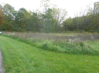 10379 Cottonwood Ct, Middleville, MI 49333