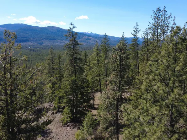 Nna Wolf Lodge Trl, Blanchard, ID 83804