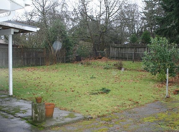 Huge Back Yard