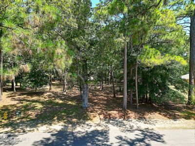 3252 Marsh View Drive SW, Supply, NC, 28462