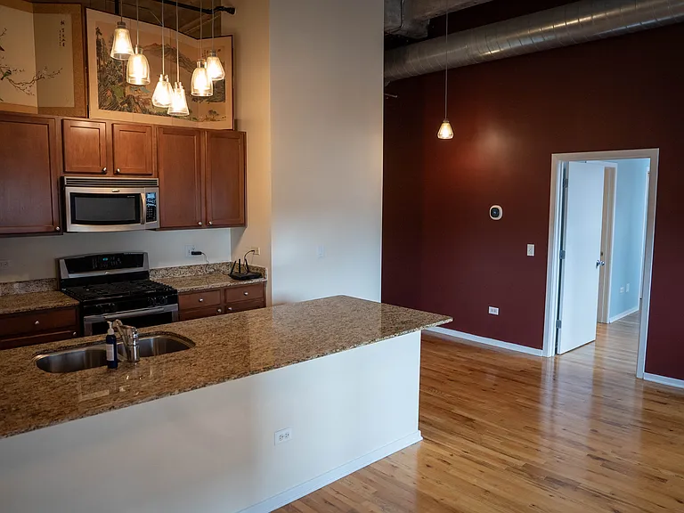 1735 N Paulina St #318 — Photo 12