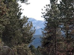 511 Owl Ct, Woodland Park, CO 80863