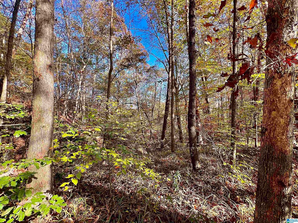 1st image of 0 N River Cir #11