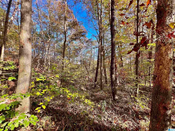 0 N River Cir #11, Northport, AL 35475