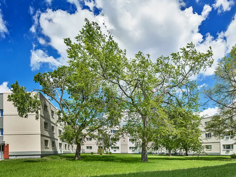 500 Partridge Ave #101 — Photo 4