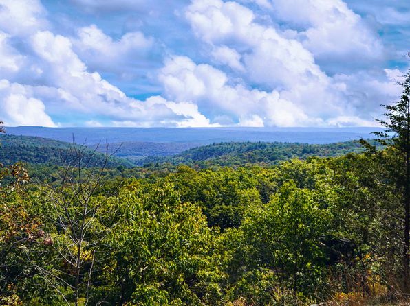 2313 Milford Rd, Bushkill, PA 18324