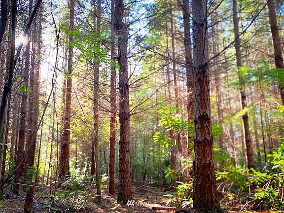 5th image of 32 Parker Woods Lane