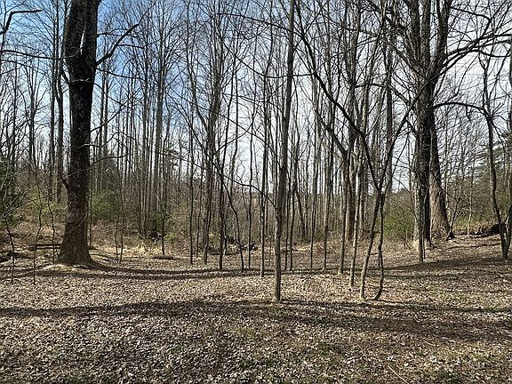 39th image of this home