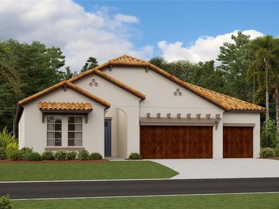 5331 Windy Grove Dr, Wimauma, FL, 33598