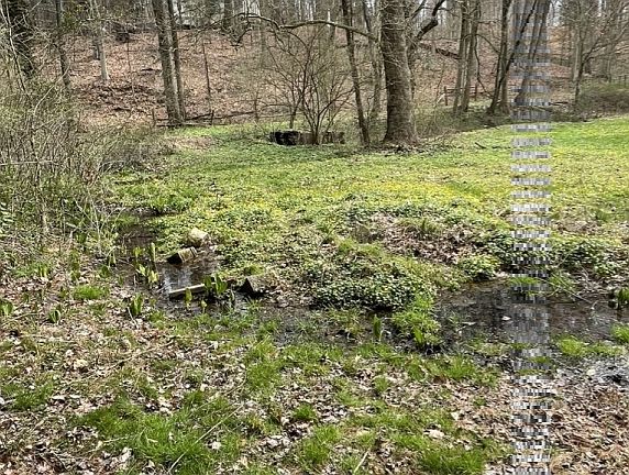 2nd image of 301 Corrine Rd