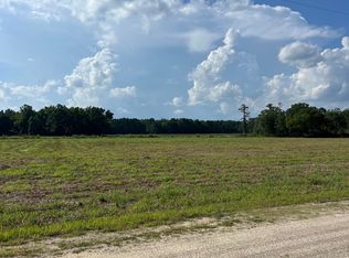 2 Seed Tick Neck Rd, Pinetown, NC 27865