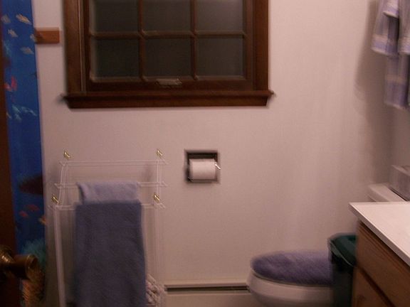 NIce sized main bath w/window