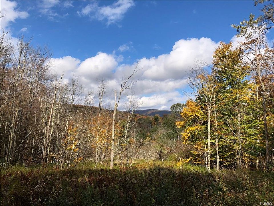 2nd image of Shin Creek Rd