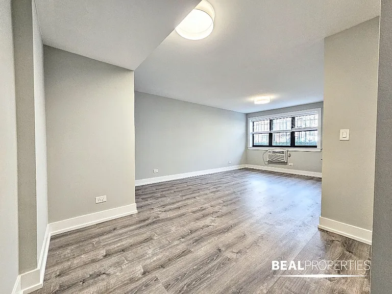 445 W Barry — Photo 95