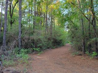 Honeylocust Ln, Plantersville, TX 77363