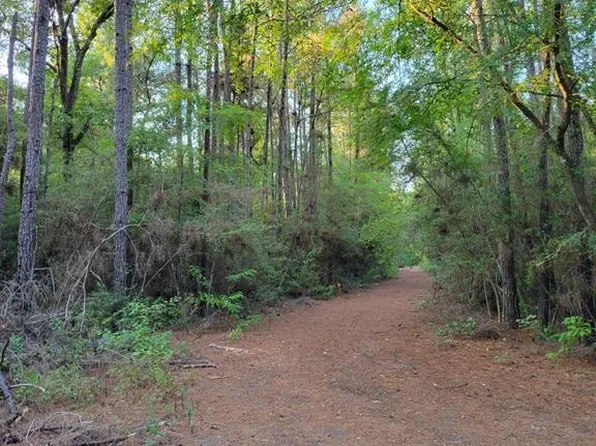 Honeylocust Ln, Plantersville, TX 77363