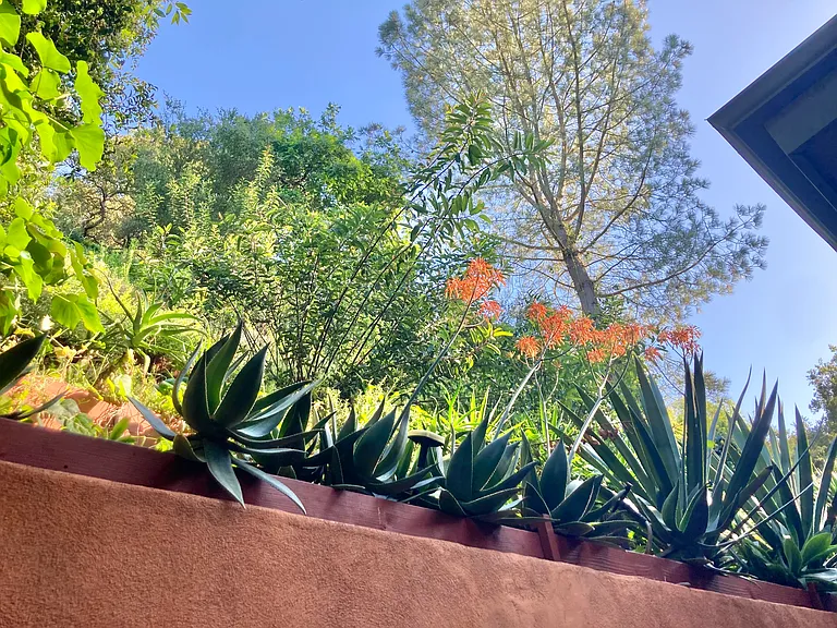 Back Patio Hillside