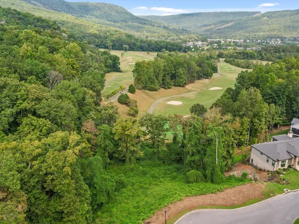 587 Kestrel Ln, Chattanooga, TN 37419