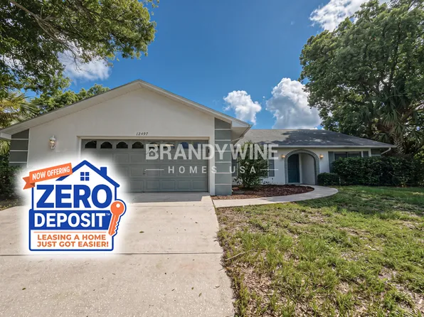 12497 Harper St, Spring Hill, FL 34609