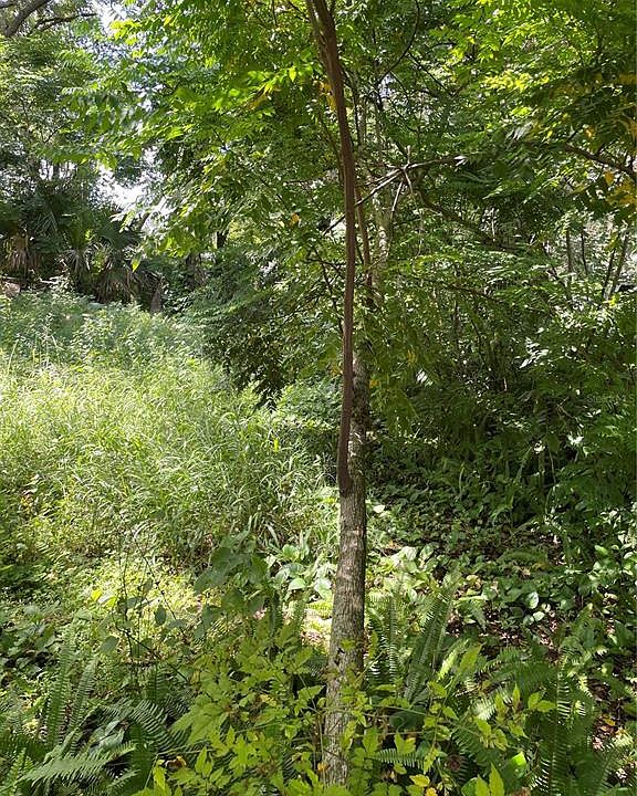 1st image of 7507 PENNSYLVANIA DRIVE LOT 7