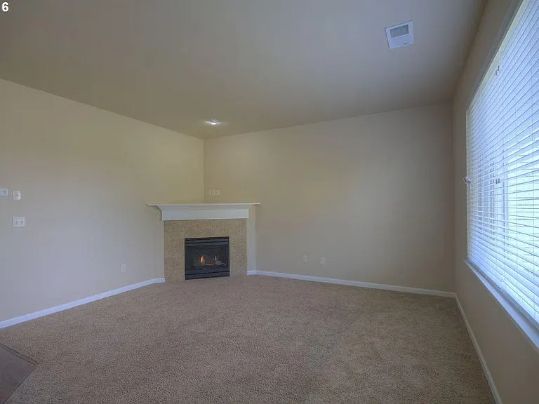 Family Room Fireplace
