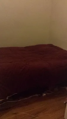 Rented by Urban Pads | media 46