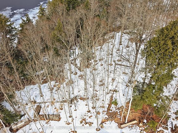 3rd image of 131 Shady Maple Rd