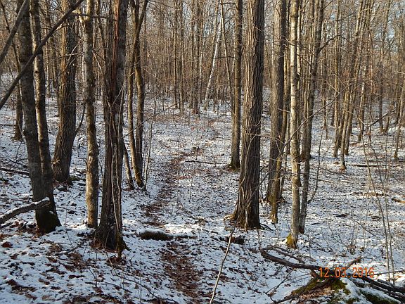2nd image of 35708 County Highway 34