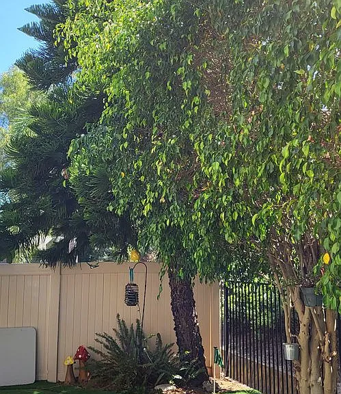 569 Whitesage Rd — Photo 24