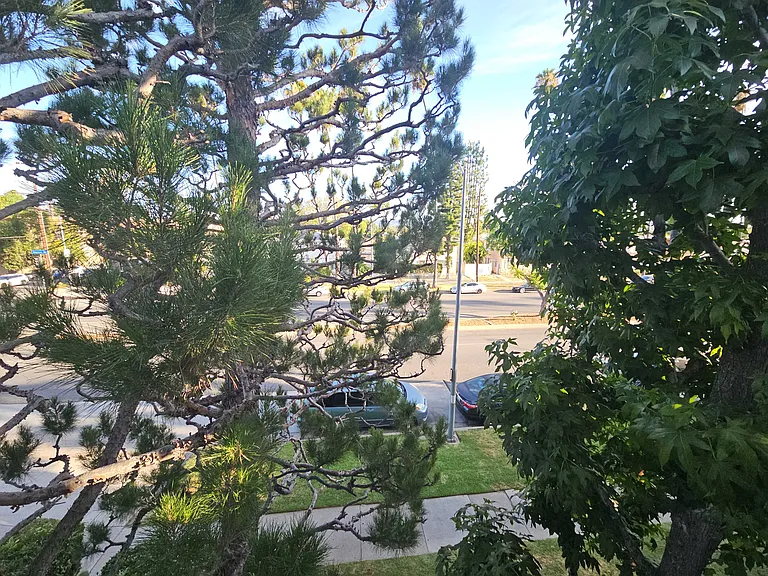 Sherman Way — Photo 26