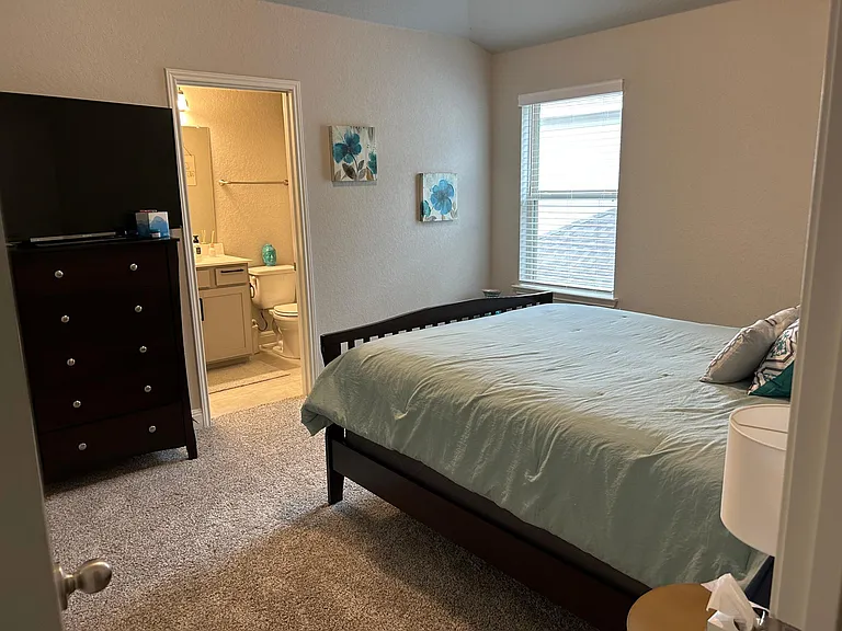 13312 Romulus Way — Photo 13