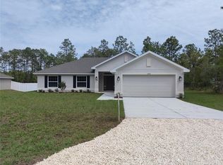 15406 Scaup Duck Ave, Weeki Wachee, FL 34614