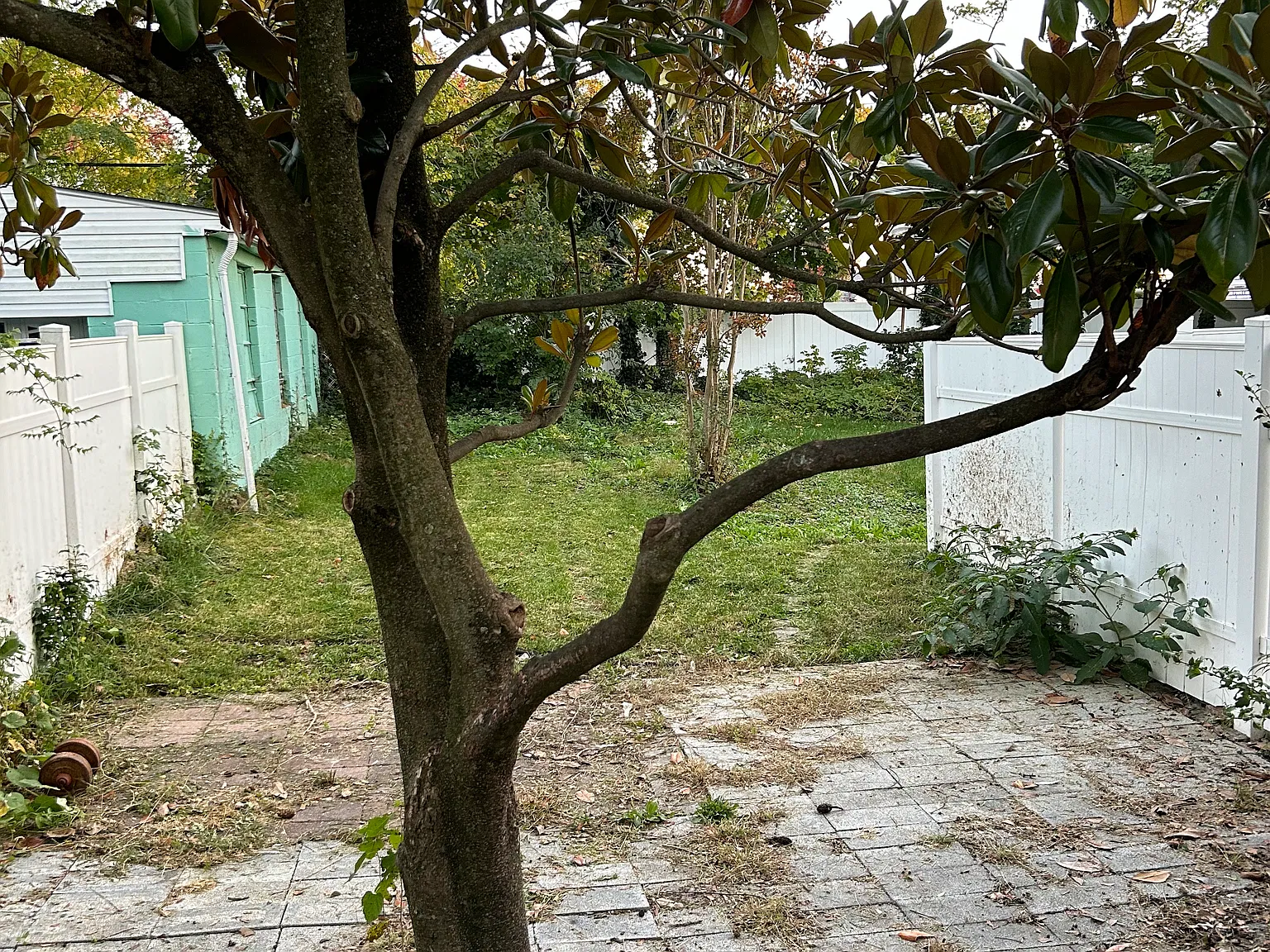 2 bed, 2.5 bath, 1250 sqft, $1,900 — Photo 4