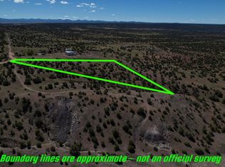 County Road 5062 LOT 1, Concho, AZ 85924
