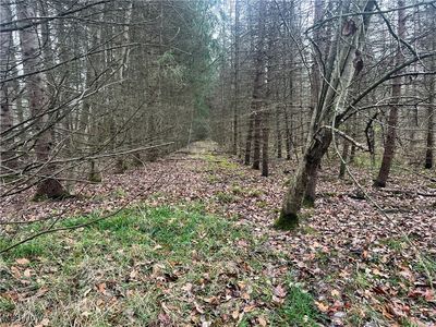 Stanley Rd, Garrettsville, OH, 44231