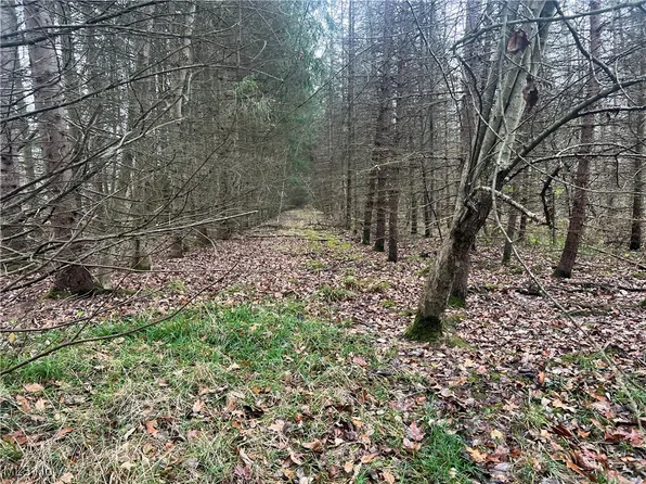 Stanley Rd, Garrettsville, OH 44231